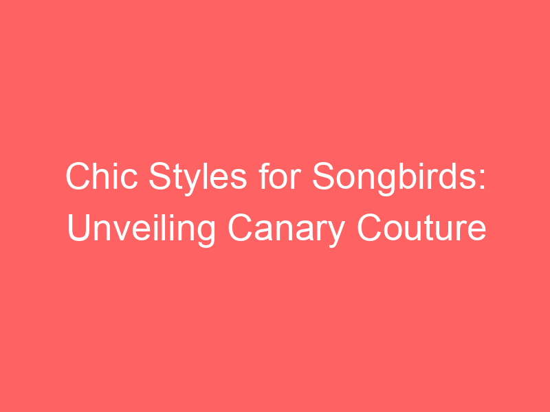 Chic Styles for Songbirds: Unveiling Canary Couture