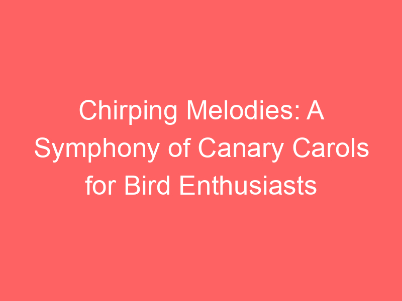 Chirping Melodies: A Symphony of Canary Carols for Bird Enthusiasts