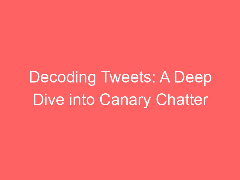 Decoding Tweets: A Deep Dive into Canary Chatter