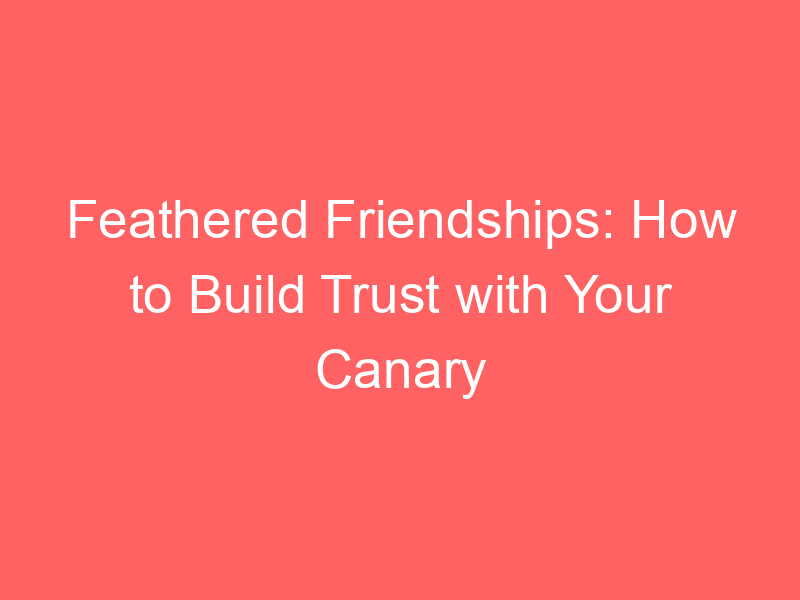Feathered Friendships: How to Build Trust with Your Canary