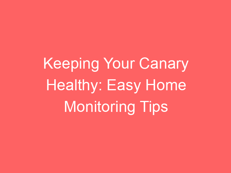 Keeping Your Canary Healthy: Easy Home Monitoring Tips