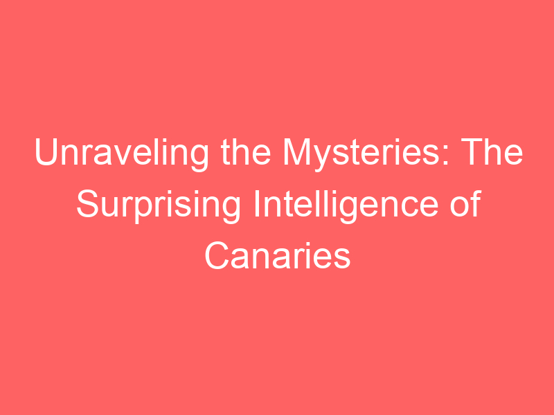 Unraveling the Mysteries: The Surprising Intelligence of Canaries