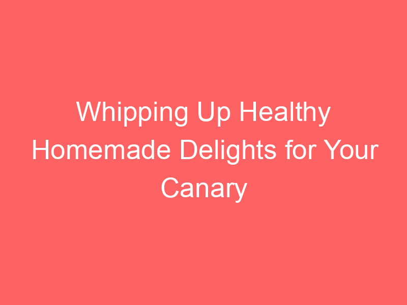 Whipping Up Healthy Homemade Delights for Your Canary